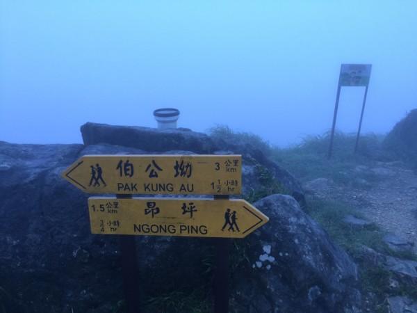 忍者跳跃试炼