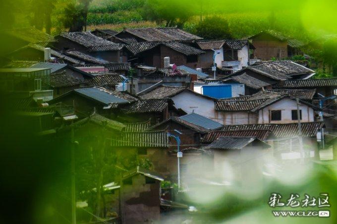 逃离违建房屋7