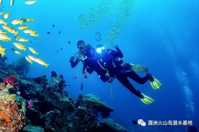 索瑞尔花园逃生