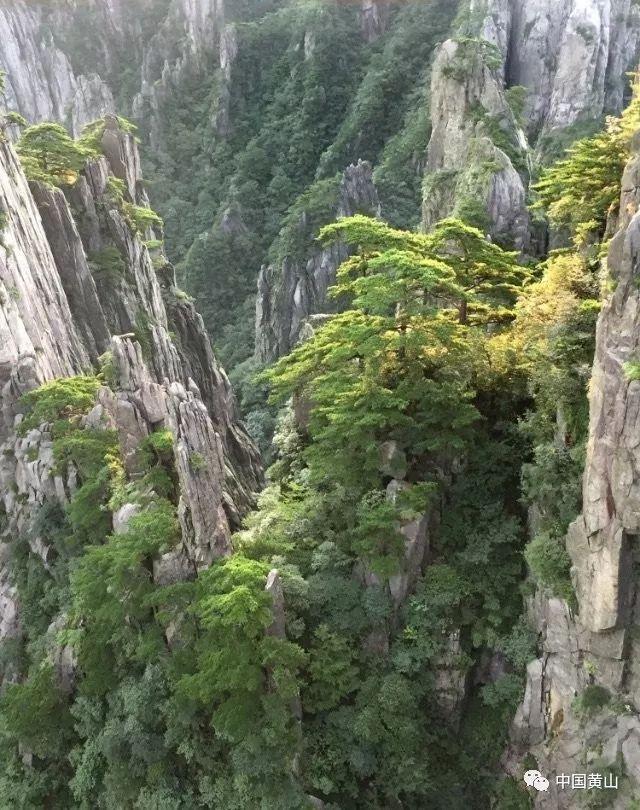 特朗普面临4.5亿美元罚款,现金储备没了